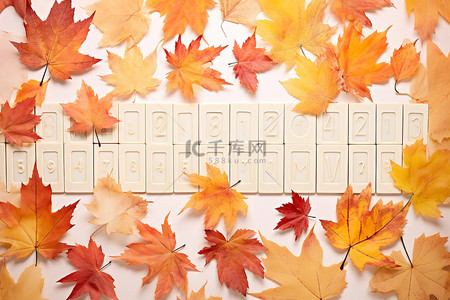 有叶子和黄色和红色叶子的秋天字拼字板