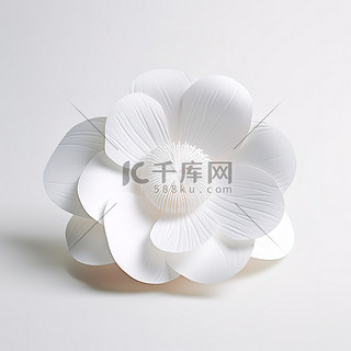 桌子上显示着白纸上的一朵白花