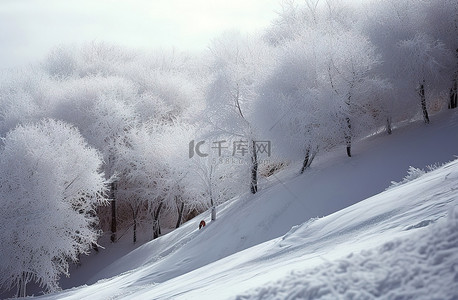 一个人踩着滑雪板正在翻越一座小山