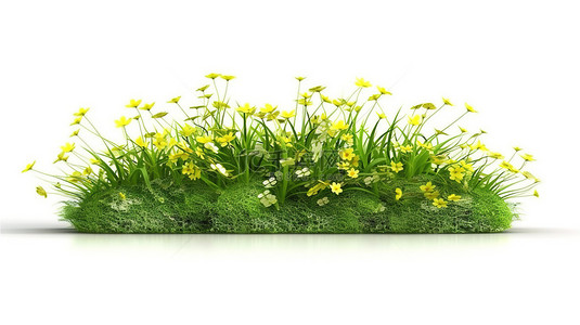 白色背景上鲜花盛开的孤立绿色草原的 3d 插图