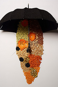 用各种种子制成的雨伞
