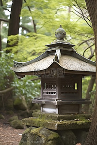 日本神社 山叶共同社 大梦大川 日本神社