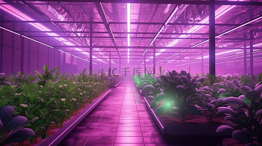 充满活力的紫色 LED 照明工业温室室内蔬菜种植 3D 渲染的水培天堂