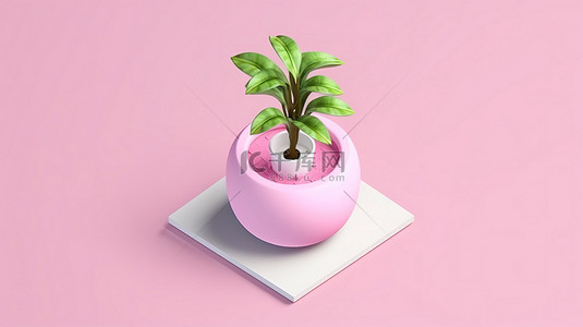 四足盆中等距白宫植物的 3D 图标，配有扁平白色和粉色家居用品