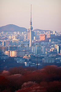 城市景观，有一座大山，电视塔就在山上