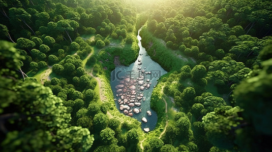 林中背景图片_茂密丛林中的胃形干河象征着地球健康3D渲染