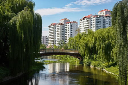 住宅区的水河桥