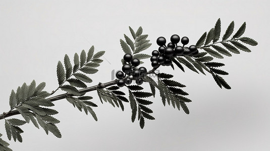 用叶子装饰的黑色罗文小枝的 3d 渲染