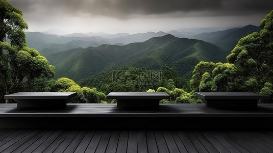 花背景图片_自然启发的背景与 3D 渲染的黑色木架子
