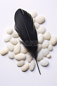 白色鹅卵石上的黑色羽毛