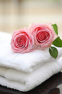 玫瑰背景图片_毛巾上插着两朵玫瑰花