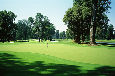 有大树和绿草的高尔夫球场