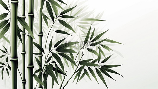 竹子竹叶植物简单背景
