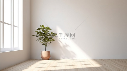 叶影背景图片_阳光明媚的空房间模型，配有木地板和白色墙壁，叶影以 3D 渲染