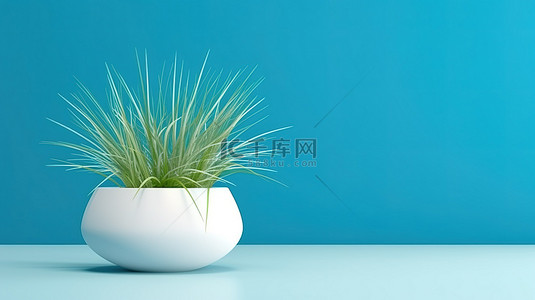 蓝色背景下郁郁葱葱的绿草白色陶瓷花盆的 3D 渲染