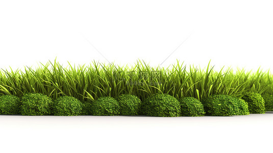 绿色体育场背景图片_白色背景与郁郁葱葱的绿色草坪的 3D 插图