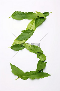 大叶子背景图片_字母z由大叶子的绿叶组成