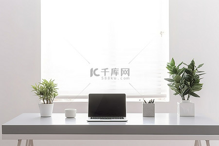 一间带植物的白色房间里有一张桌子和一台笔记本电脑