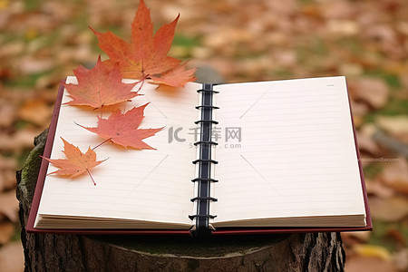 当叶子正在变化时，笔记本立在上面