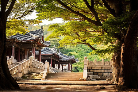 寺庙旅行背景图片_这条路通向一座有树木的寺庙