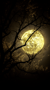 月亮光线黄色自然背景