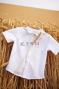 晾衣绳背景图片_晾衣绳上的小麦旁边挂着一件白衬衫