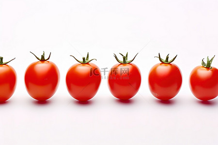 白色背景中的一组红番茄