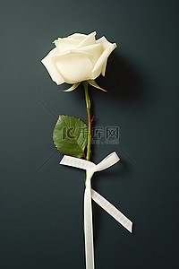 单朵白玫瑰与繁文缛节