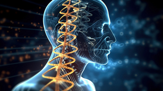 医疗保健背景的数字插图，具有男性 DNA 和大脑的轮廓线