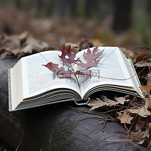一本打开的书，上面有叶子