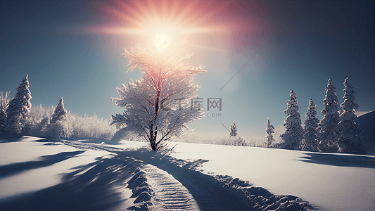大雪背景图片_冬季雪景树影背景