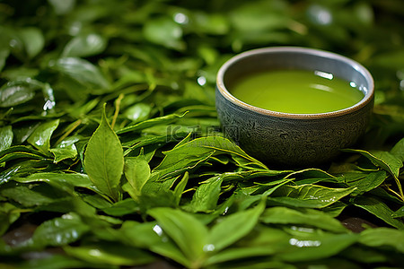 茶叶benner背景图片_饮用这种茶的最佳方式是什么