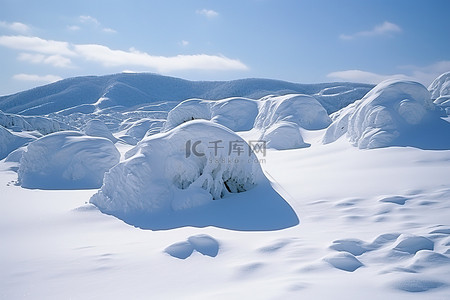 风景上有很多雪