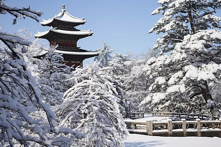 一座古老的宝塔和松树被雪覆盖