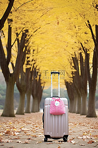 的行李箱背景图片_一个带着粉色围巾的行李箱放在树旁的公园里