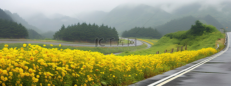 天气背景图片_湿路边一条黄花覆盖的路
