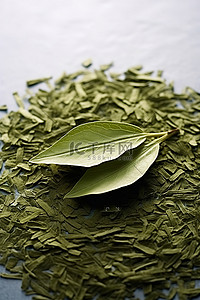 叶子上面的绿茶