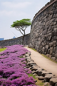 济州老城公园和石墙
