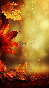 秋分标题背景图片_秋天枫叶植物