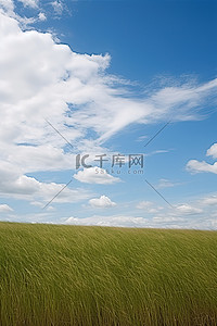 中共一大背景图片_一大片草地，有蓝天白云和蓝草
