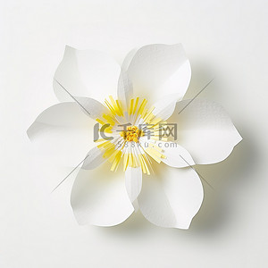 白色鸡蛋花背景背景图片_一朵白色的花站在白色的背景下
