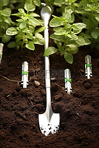 种植工具背景图片_地面种植工具和绿色植物
