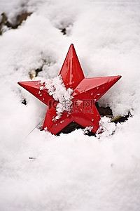雪中​​的红星