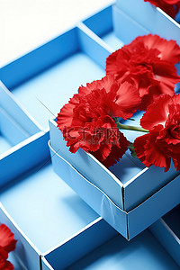 蓝色托盘与红色康乃馨