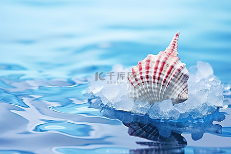 冰上嬉戏背景图片_回水中冰上的贝壳