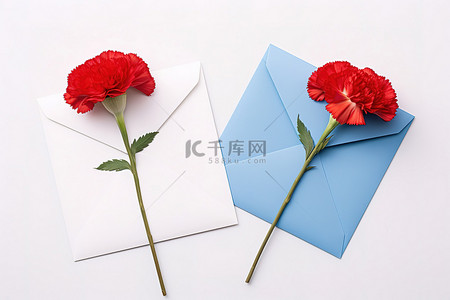 两个信封，中间有红色康乃馨和白色康乃馨