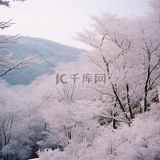 雪背景图片_冬季景观，几棵树被雪覆盖