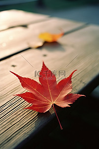 枫叶红背景图片_红枫叶坐在木桌上