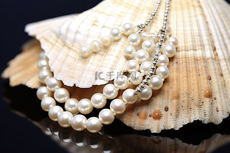 项链背景图片_一条带有白色珍珠的项链位于贝壳中