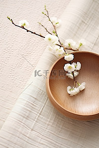 木碗花茎植物桌绒免费 PSD
